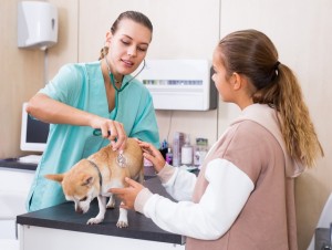 Санитар ветеринарный Санитар ветеринарный